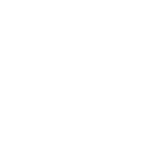 icon-bulb